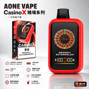 AONE CasinoX