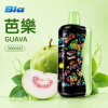 BIA 35000口