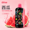 BIA 35000口