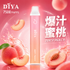 DIYA 7500口