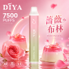 DIYA 7500口