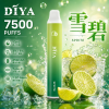 DIYA 7500口