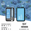HEBAT 10000口