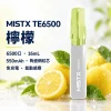 MISTX TE6500