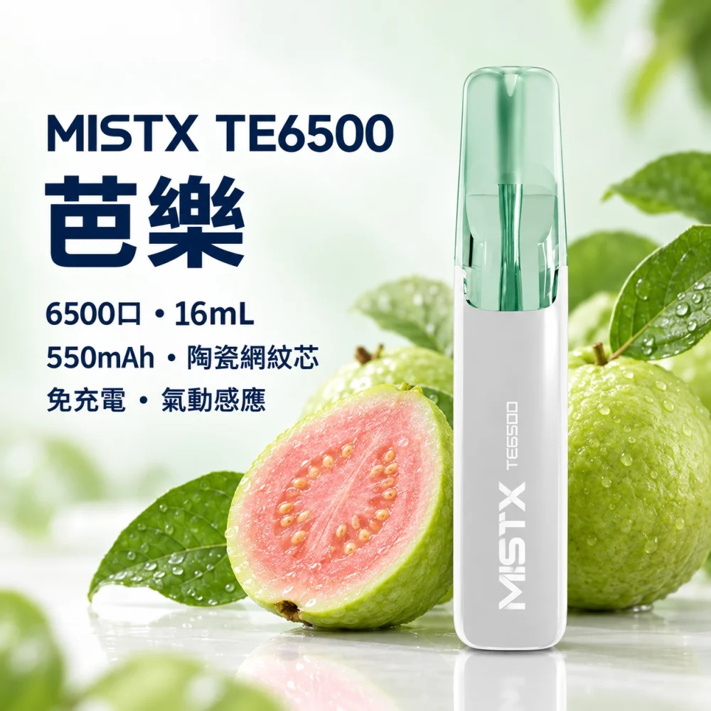 MISTX TE6500