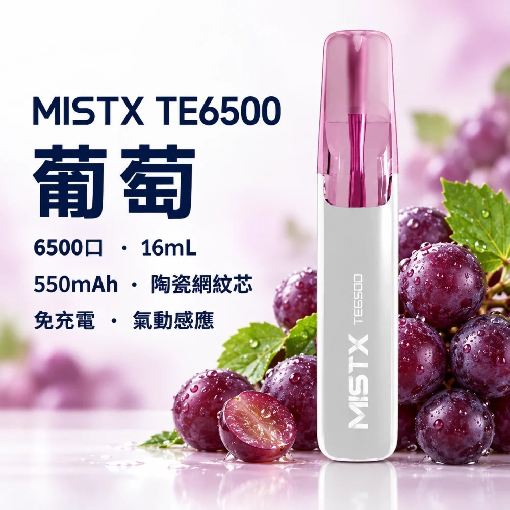 MISTX TE6500