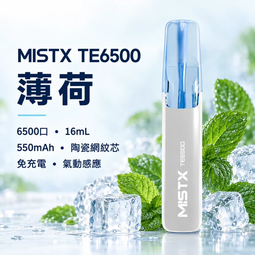 MISTX TE6500