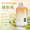 SP2S GEM 9000口