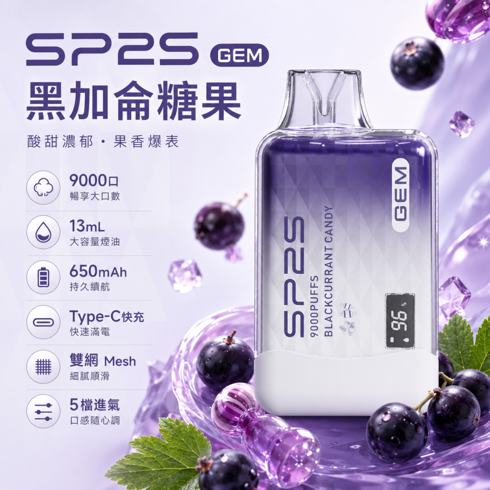 SP2S GEM 9000口