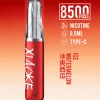 XIAOKE 口紅 8500口