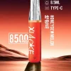 XIAOKE 口紅 8500口