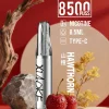 XIAOKE 口紅 8500口