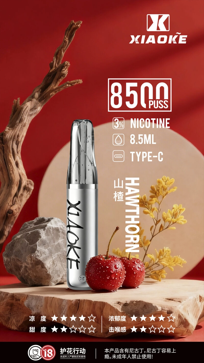 XIAOKE 口紅 8500口