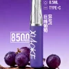 XIAOKE 口紅 8500口