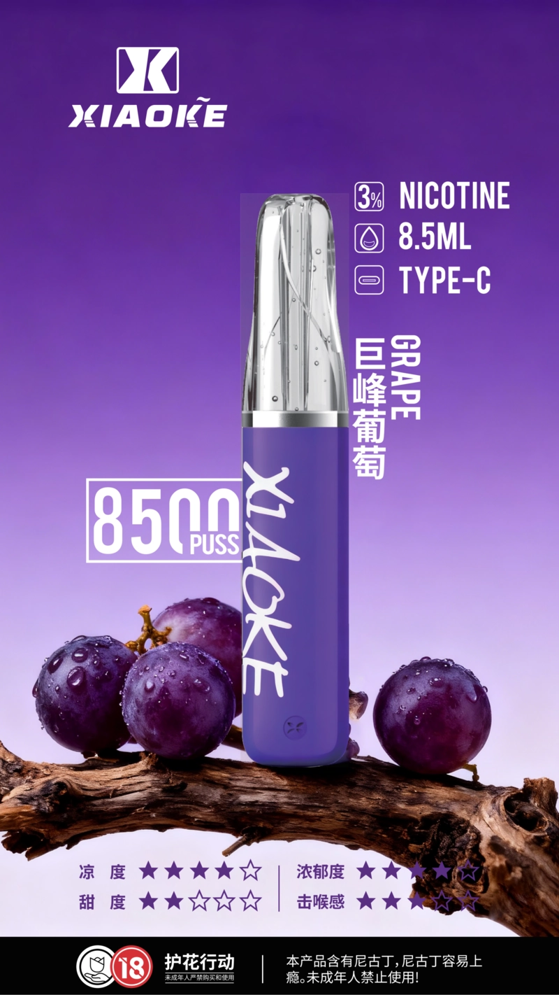 XIAOKE 口紅 8500口