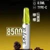 XIAOKE 口紅 8500口