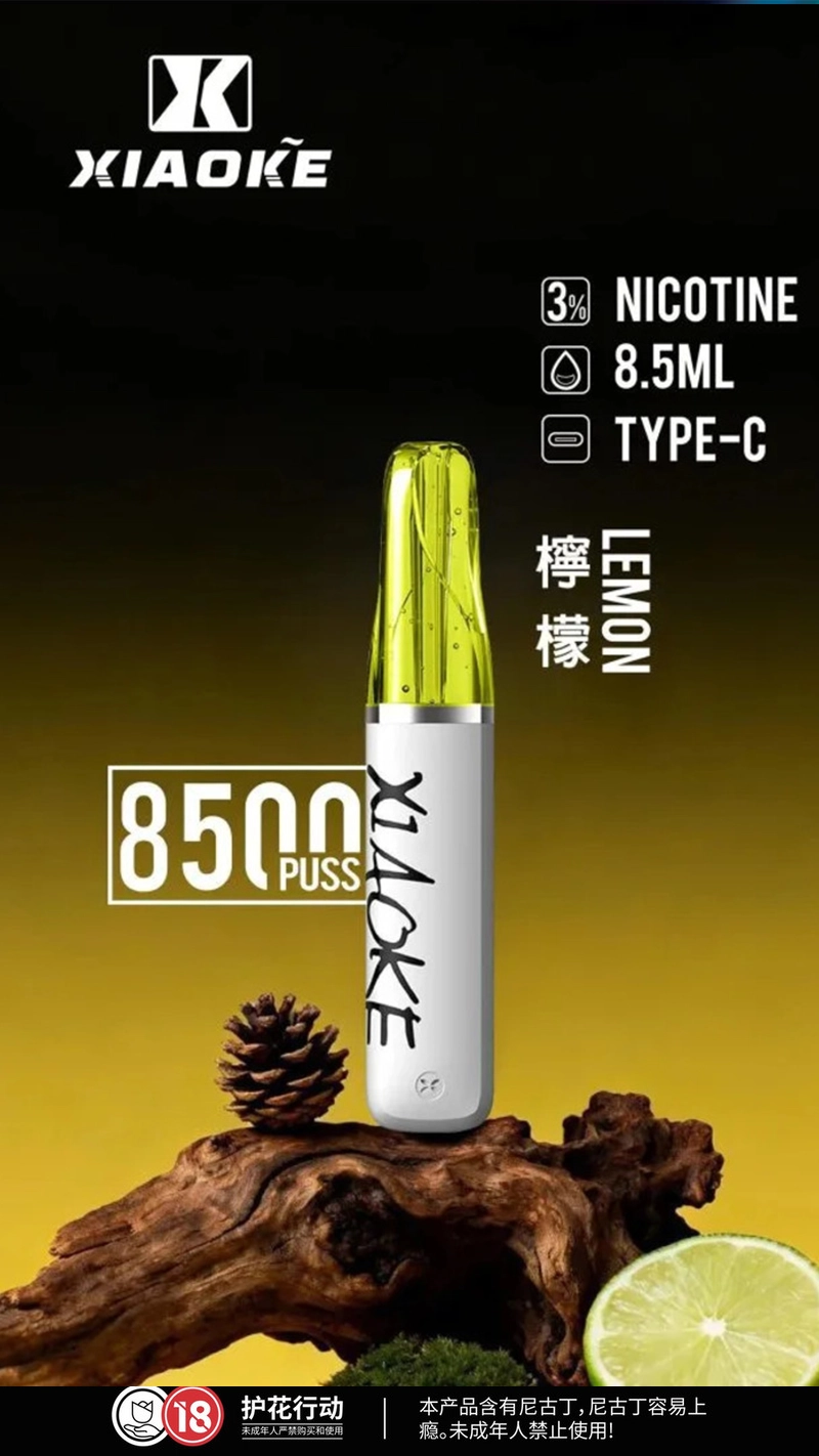 XIAOKE 口紅 8500口