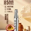 XIAOKE 口紅 8500口