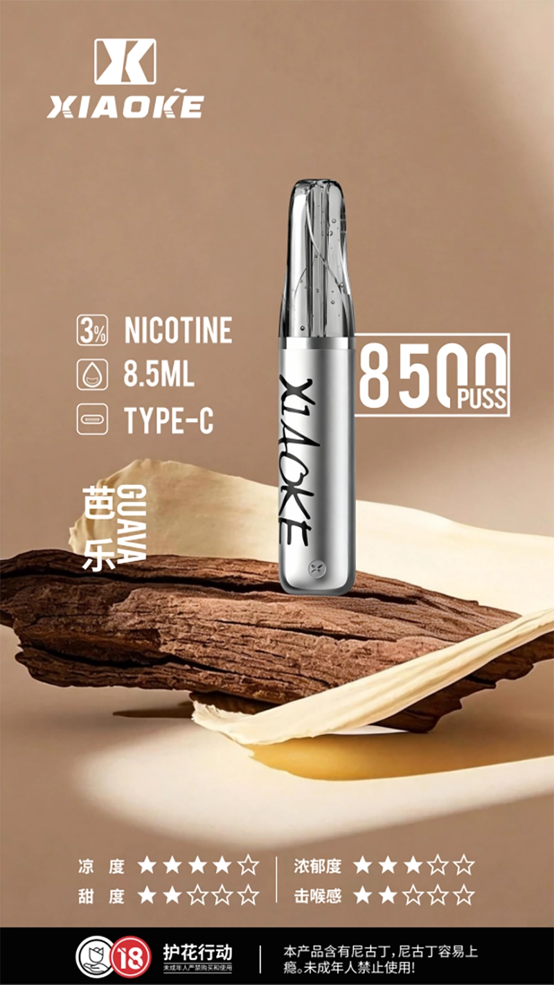 XIAOKE 口紅 8500口