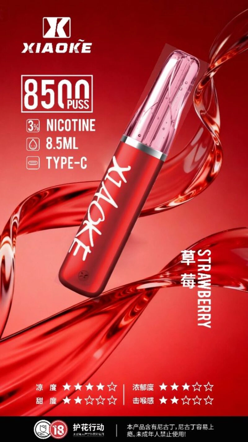 XIAOKE 口紅 8500口