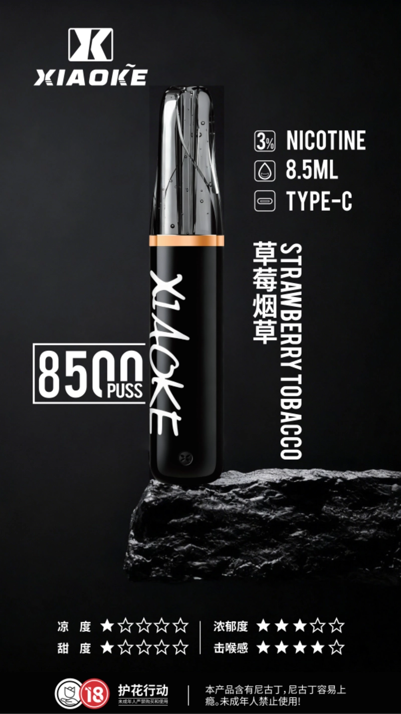 XIAOKE 口紅 8500口