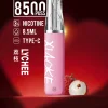 XIAOKE 口紅 8500口