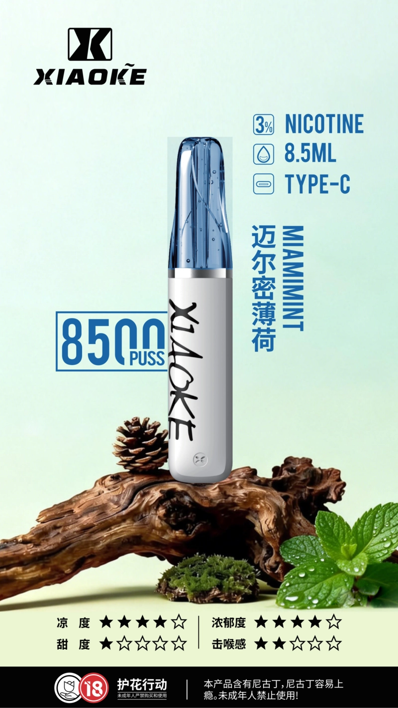 XIAOKE 口紅 8500口