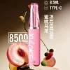 XIAOKE 口紅 8500口