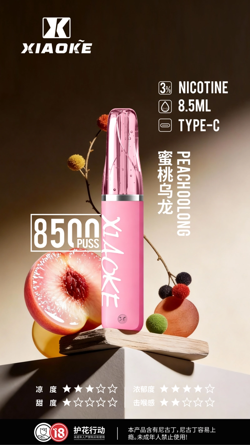 XIAOKE 口紅 8500口