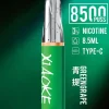 XIAOKE 口紅 8500口