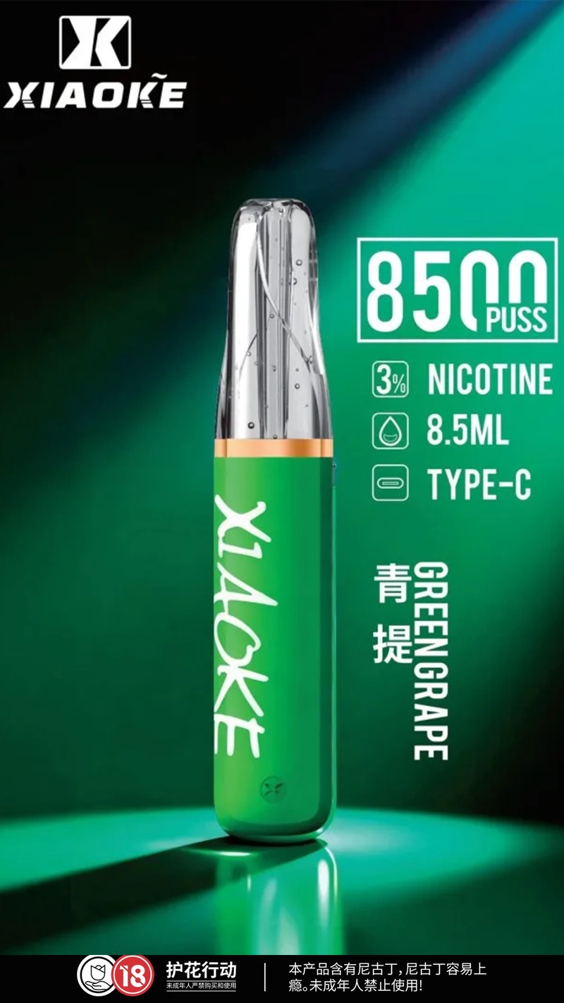 XIAOKE 口紅 8500口
