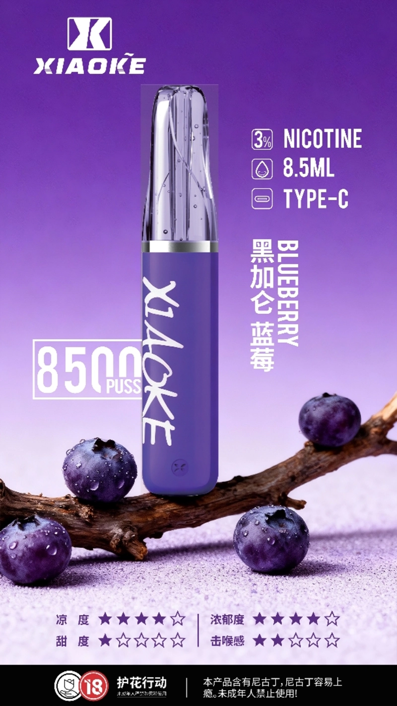 XIAOKE 口紅 8500口