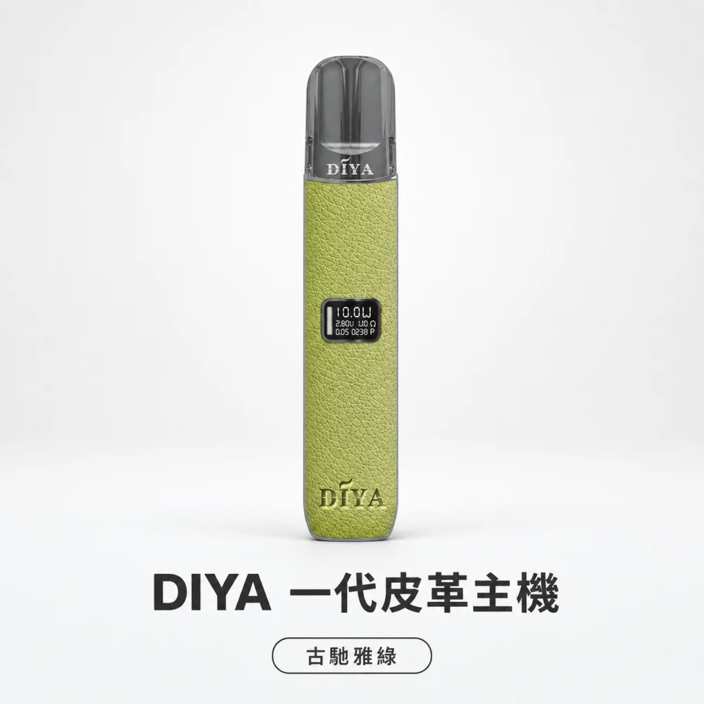 DIYA 皮革主機