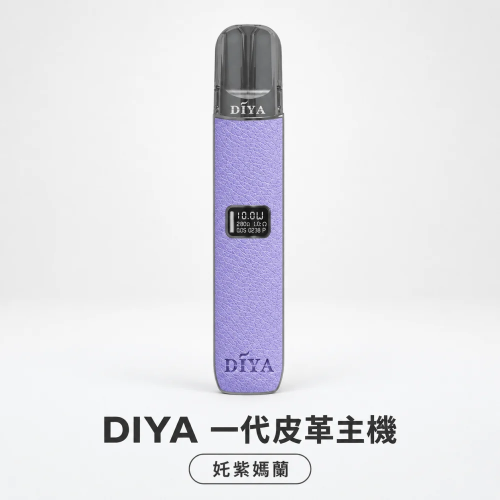 DIYA 皮革主機