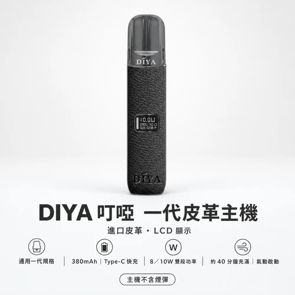 DIYA 皮革主機