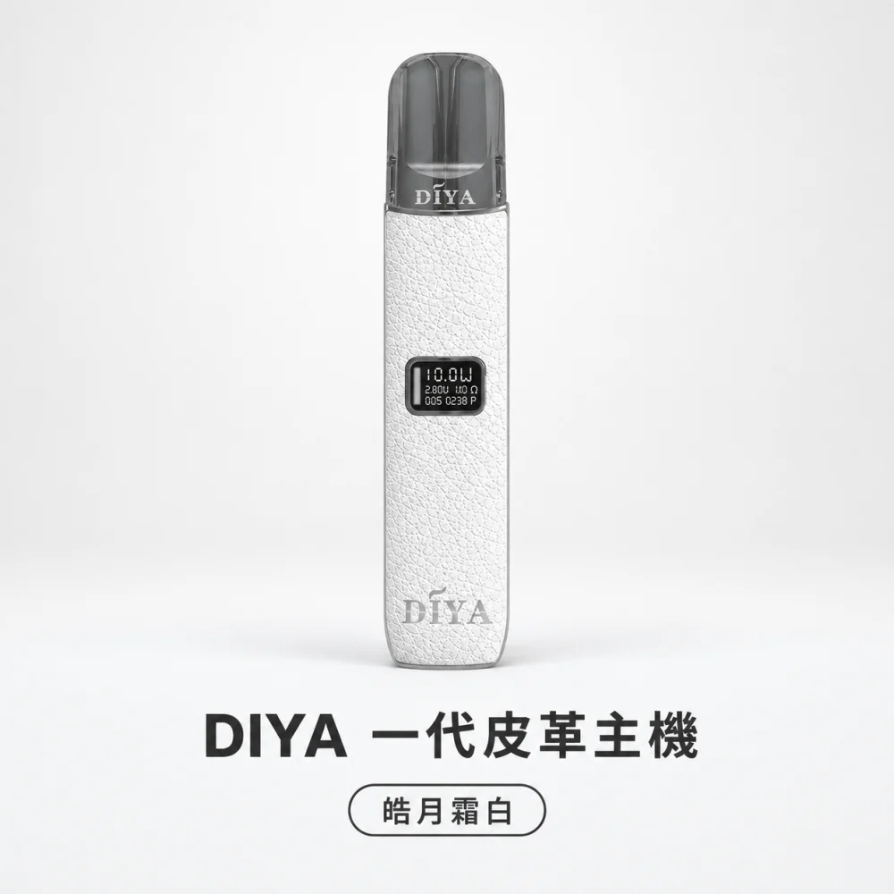 DIYA 皮革主機